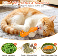 ETEKYER Catnip Cat Toys, 5 Pack, Plush Catnip Toys for Indoor Cats Kitty, Interactive Cat Nip Kitten Kicker Chew Safe Teeth Cleaning Toys, Fun Carrot Vegetable Shape
