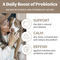 Skout's Honor Probiotic Pet Detangler Spray - Hydrating & Conditioning with Avocado Oil, 97% Natural, Paraben & Sulfate-Free, softens for a More brushable Coat, Daily Use, 8oz, Dog of the Woods