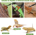 Bearded Dragon Harness Leash Set 3 Size Adjustable Lizards Training Walking Leather Vest Escape-Proof Traction Rope for 