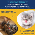 Under the Weather Pet | Ready Cal for Kitten | High Calorie Pet Nutritional Supplement for Weight Gain & Healthy Weight 