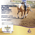 Vital Amino Blend - Horse Care, Coat & Hoof - Performance Horse - No Soy or Sugar- 120 Day Supply