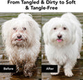 Pride and Groom The Non Shedder | Dog Grooming Shampoo for Doodles and Dogs that Do Not Shed | Tearless All Natural Body Wash with Coat-Specific Ingredients that Enhance Shine – 16oz