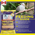 Hagen Pigeon & Dove Seed Mix, Original Formula Bird Food, 6 lb Bag