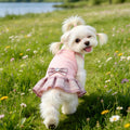 Pet Dog Dress for Small Dogs Girl, Pet Clothes with Bowtie