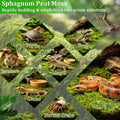 Riare 8OZ Sphagnum Moss for Reptiles- 10QT Natural Reptile Moss Bedding