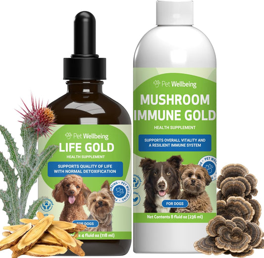Pet Wellbeing More Mushrooms Value Size for Dogs - Immune System Support