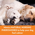 ThunderEase Dog Calming Pheromone Diffuser Refill | Powered by ADAPTIL | Vet Recommended to Relieve Separation Anxiety, 