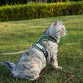 pangdi Cat Harness and Leash Escape Proof Extra Large Kitten Harness Maine Coon Cat Vest for Walking Travel, Dark Green, XL