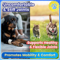 Glucosamine for Dogs, Hip & Joint Supplement for Dogs Cats, Glucosamine Chondroitin for Dog Supports Joint Health and Jo