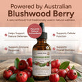 Aussie Pure Pet Therapy Blushwood Berry EBC-46 Tincture - 120ML - Maximum Strength - Lab Tested and Certified - Gentle, Oral and Topical Alcohol-Free Formula - Immune and Cell Support