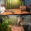 PINVNBY Reptile Terrarium Cork Background, Bearded Dragon Tank Bark Backdrop Wall Decor with Artificial Moss for Gecko L