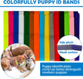 Whelping Kit for Puppies Birth - Reusable Birthing with 77Piece,Birthing Essentials with Emergency Whelping Supplies,Kit