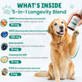NAD+ Drops for Dogs, Dog Longevity Supplement with NMN & Resveratrol, 2 oz