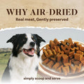 A Freschi srl Air-Dried Dog Food – Real Buffalo & Salmon Recipe - All Natural, High Protein, Grain Free, Limited Ingredient w/W-Shaped Pieces (1 lb)