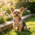Chunky Beaded Necklace for Dog Cat Colorful Resin Bead Necklaces