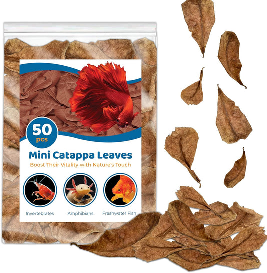 SunGrow 50 Pcs Mini Catappa Indian Almond Leaves for Betta Fish Aquarium, Shrimp, Frogs, Improves Habitat, Gives Tea Col