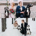 GOYOSWA Dog Tuxedo Suit Wedding Bandana Collar with Bow Tie, Adjustable Formal Dog Tux, Engagement Birthday Tuxedo for S