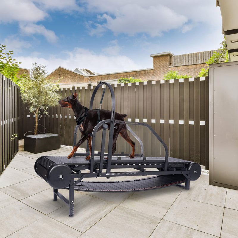 Non-Motorized Dog Treadmill for Large Dogs with Pedometer, Wide Running Slatmill, Self-Powered with Brake, 5-Level Incline, Heavy Duty Slatmill for Indoor Exercise Equipment Up to 500LBS (Size L)