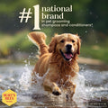 Burt's Bees for Pets Waterless Shampoo Spray for Dogs, Apple & Honey, No-Rinse Dry Dog Shampoo for All Dogs and Puppies, pH Balanced, No Sulfates, Parabens, Phthalates, 10 Fl Oz