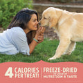 ACANA Singles Grain Free Dog Treats Limited Ingredients & Freeze-Dried Beef & Pumpkin 3.25oz Bag