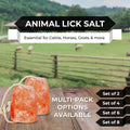 Himalayan Pink Salt Licks for Animals – Natural Salt Block with Rope for Horses, Cows, Deer & More – No Harmful Elements