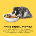 Kaytee Fiesta Hamster & Gerbil Food, Nutritious and Fun Blend, Supports Dental Health and Digestion, 4.5 pounds