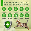 Cat Antibiotic for Infections, UTIs, Respiratory Moments, Cold, & Allergies | Antibiotics for Cats of All Ages & Breeds 