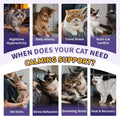 Melatonin Drops for Cats, Cat Calming for Sleep, 2 Fl oz