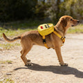 Funny Dog Slogan Travel Bag Pet Me Please Dog Backpack Dog Walking Puppy Snack Storage (PET ME Please)
