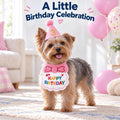 Cat Birthday Hat & Bandana Set with Age Numbers for Small Dogs Pink