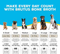 Brutus Broth Dog Food Topper - Instant Bone Broth Powder for Adult Dogs - Supports Hip and Joint Function - Human-Grade Quality, Serve Dry or Wet - Beef Flavor, 3.5 oz (Pack of 1)