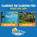 Clarence the Clarifier Fish - 1 pk, Purple - Aquarium Treatment, Clear Cloudy Fresh-Saltwater, Fish-Plant Safe, 10gal Ta