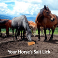 Licking Salt for Horse, 100% Pure Himalayan Pink Salt Chunks, 6 LBS, Animal Feed Salt Chunks, Horse Salt Licks, Natural 