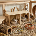 Hamster Hideout Tunnel and Hamster Bridge Set, Wooden Hamster Cage Accessories, Hamster Platform and Hamster Toys, 2-Cha