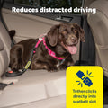 PetSafe Safety Seatbelt Tether Adjustable Dog Seat Belt for Car Works with Any Harness Carabiner Clip, Black - 1 Tether Included