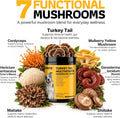 Turkey Tail Mushroom for Dogs 200 Count - Dog Multivitamin & Mushroom Chews