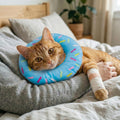 Fzxdfg Blue Soft Cat Cone Collar Comfortable Adjustable Donut Recovery Collars Lightweight Elizabeth Collar Post-Surgery Wound Care Anti-Licking and Biting for Small Cats