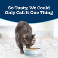 Blue Buffalo Tastefuls Adult Indoor Dry Cat Food, Chicken & Brown Rice, 3-lb Bag