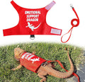 Romansk Bearded Dragon Harness and Leash Set