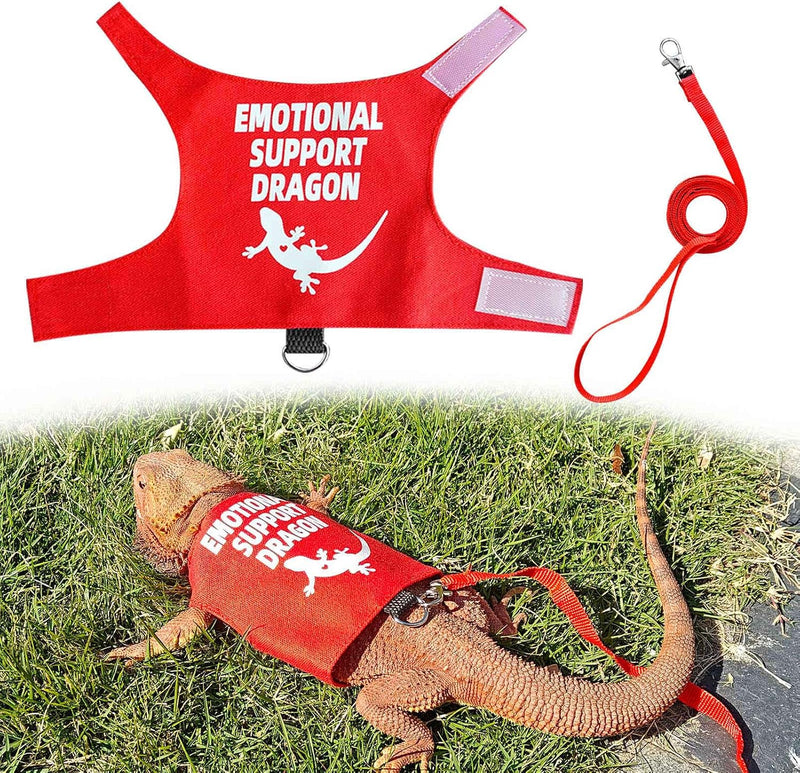 Romansk Bearded Dragon Harness and Leash Set