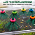 Medaka Spawning Mop Kit, 10 Floating Egg Collectors with Hatch Box
