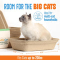 CallieCo Disposable Cat Litter Boxes - Portable Biodegradable Travel Litter Box for Cats, Sturdy and Durable Kitty Poo Box, Leak-Resistant Cat Tray Liners, Easy-Grip Rim, Large - 6 Pack