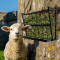 2-in-1 Wall Mount Hay Feeder, Black Grain Rack for Goats, Horses, Sheep