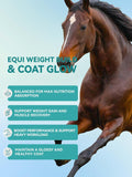 Horse Feed Topper with Flaxseed, High-Fat Feed Mix with Corn & Rice Bran, Easy-Mix Horse Feed Additive 1400g