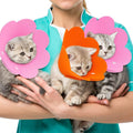 4 Pieces Cat Recovery Collar Cat Cones Flower Shape Pet Anti-bite Lick Wound Healing Safety Elizabethan Neck E Collar Ad