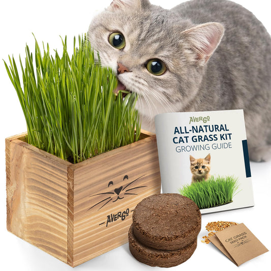 Cat Grass Kit for Indoor Cats – x2 Seed Packets | Cat Grass Seeds with Wooden Planter & Soil for Nipping & Nibbling – Pet Wheatgrass Grass