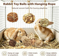 9PCS Bunny Chew Grass Balls with Rope, Rolling Molar Toys for Small Animals