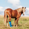 4 Pcs Easy Use Hoof Soaking Boot for Horse Soaker Bag, Hoof Care Treatment Bucket with EVA Pad and Elastic Band, 2 Pairs