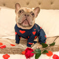 Spark Paws Dog Pajamas - Stretch Onesie Recovery Full Leg Surgery Suit PJS