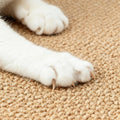 Extra Large Cat Scratcher Mat - Sisal-Style Scratching Rug for Indoor Cats